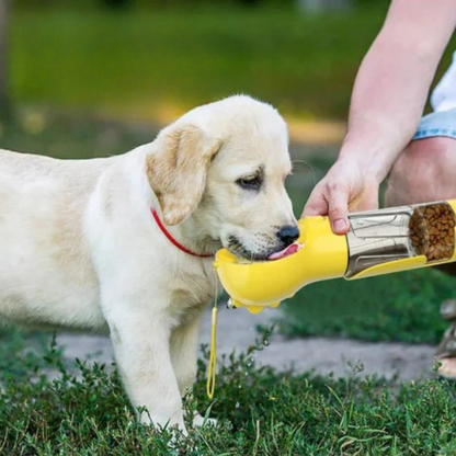 NordicPaws | Oumbärligt för varje hundägare