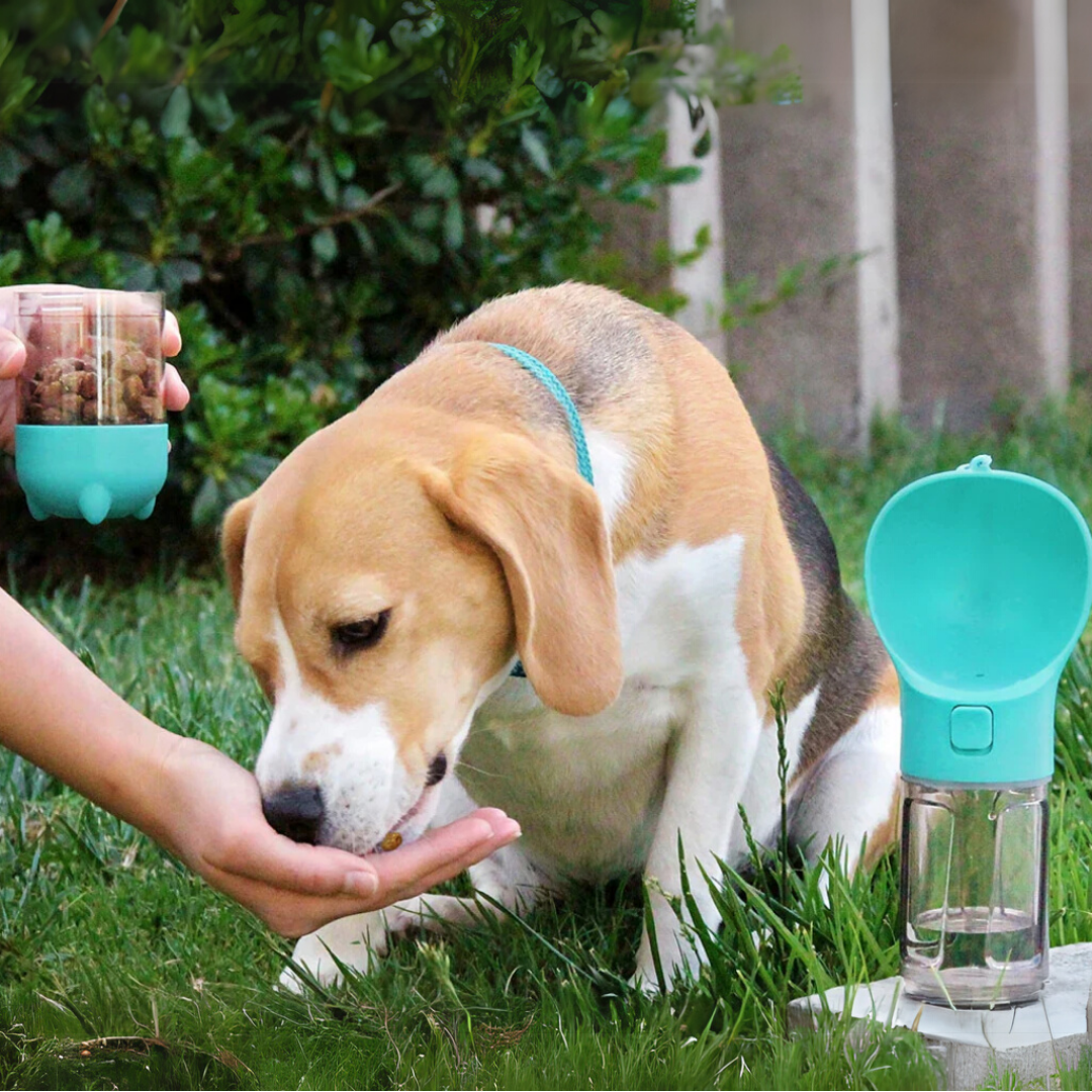 NordicPaws | Oumbärligt för varje hundägare