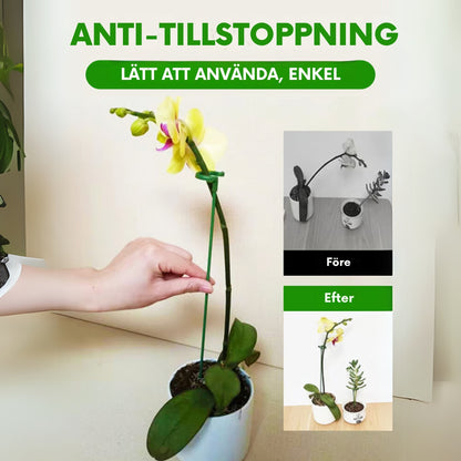 VäxtStöd | Stabilitet & stil för blomstrande växter