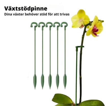 VäxtStöd | Stabilitet & stil för blomstrande växter