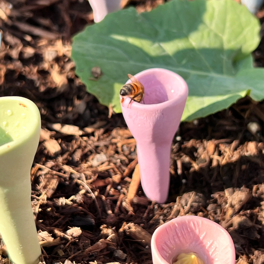 BinaBloom | Hjälp bina och få en rikare trädgård